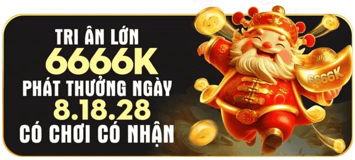 Chương trình VIP và hoàn trả